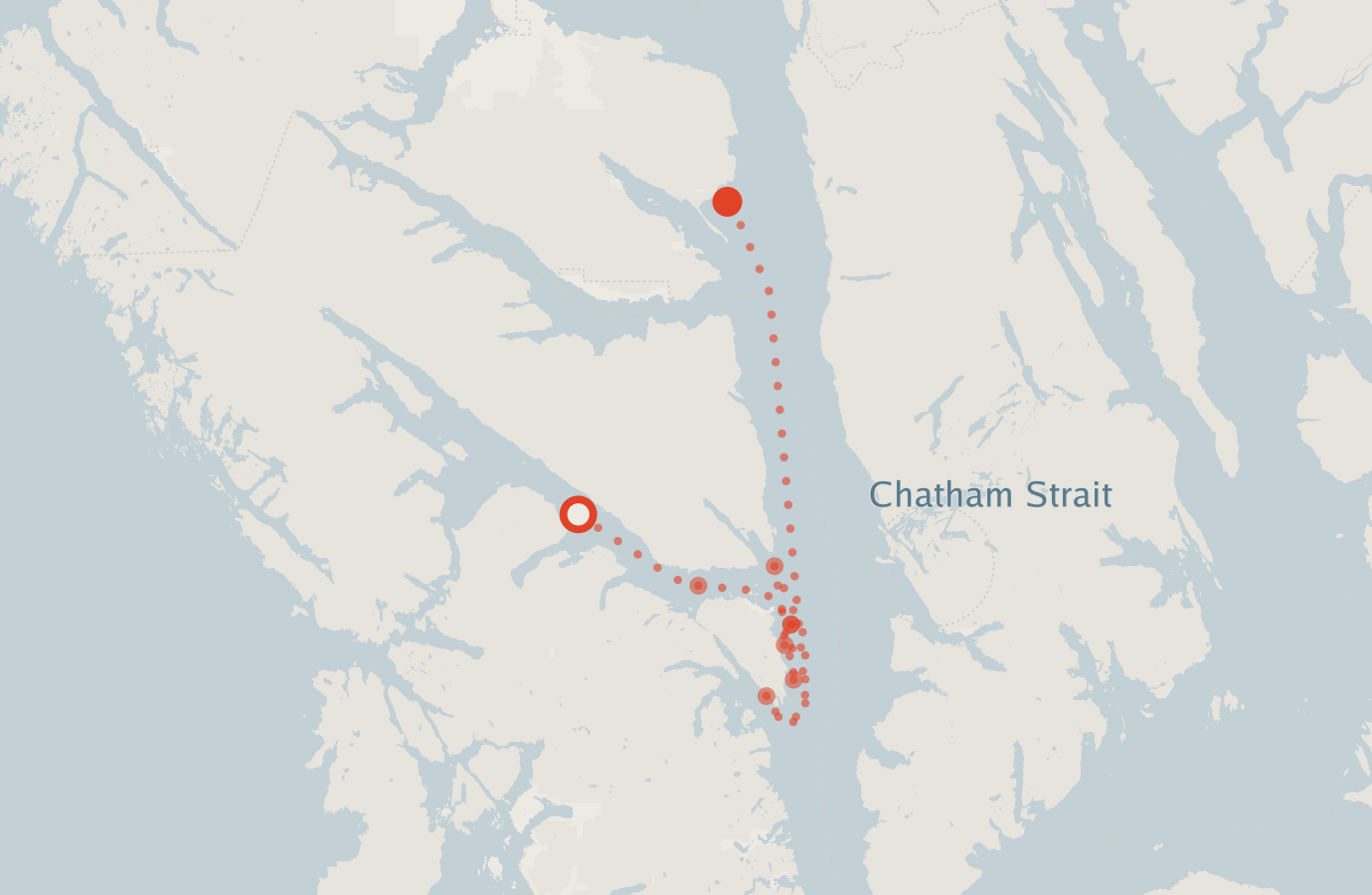 Activity map — real sighting points on an OpenStreetMap basemap