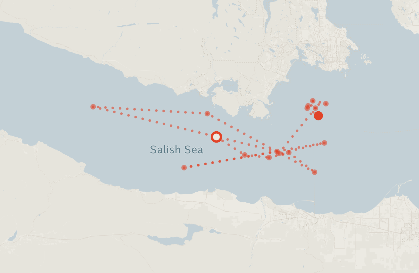 Activity map — real sighting points on an OpenStreetMap basemap