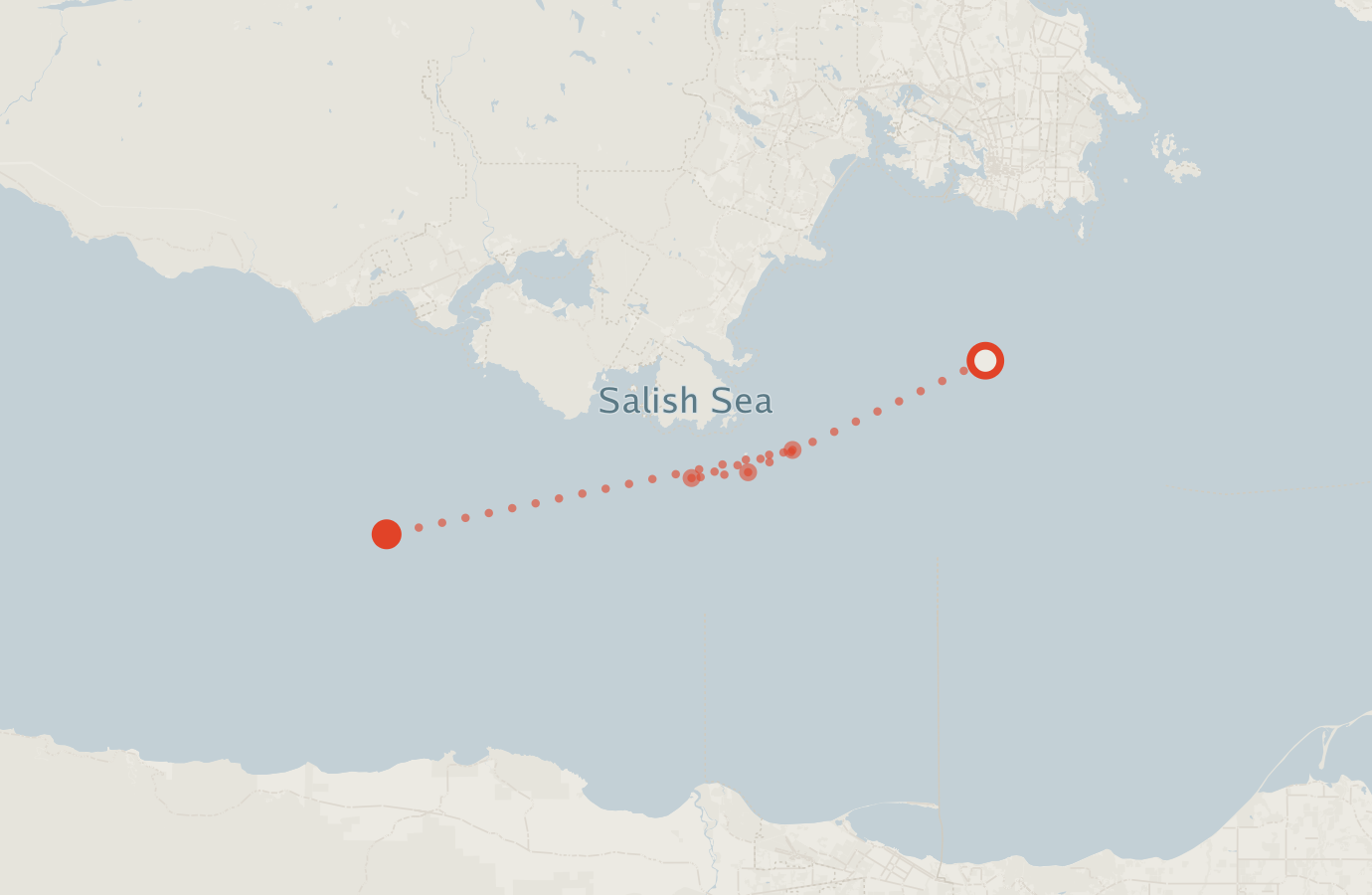 Activity map — real sighting points on an OpenStreetMap basemap