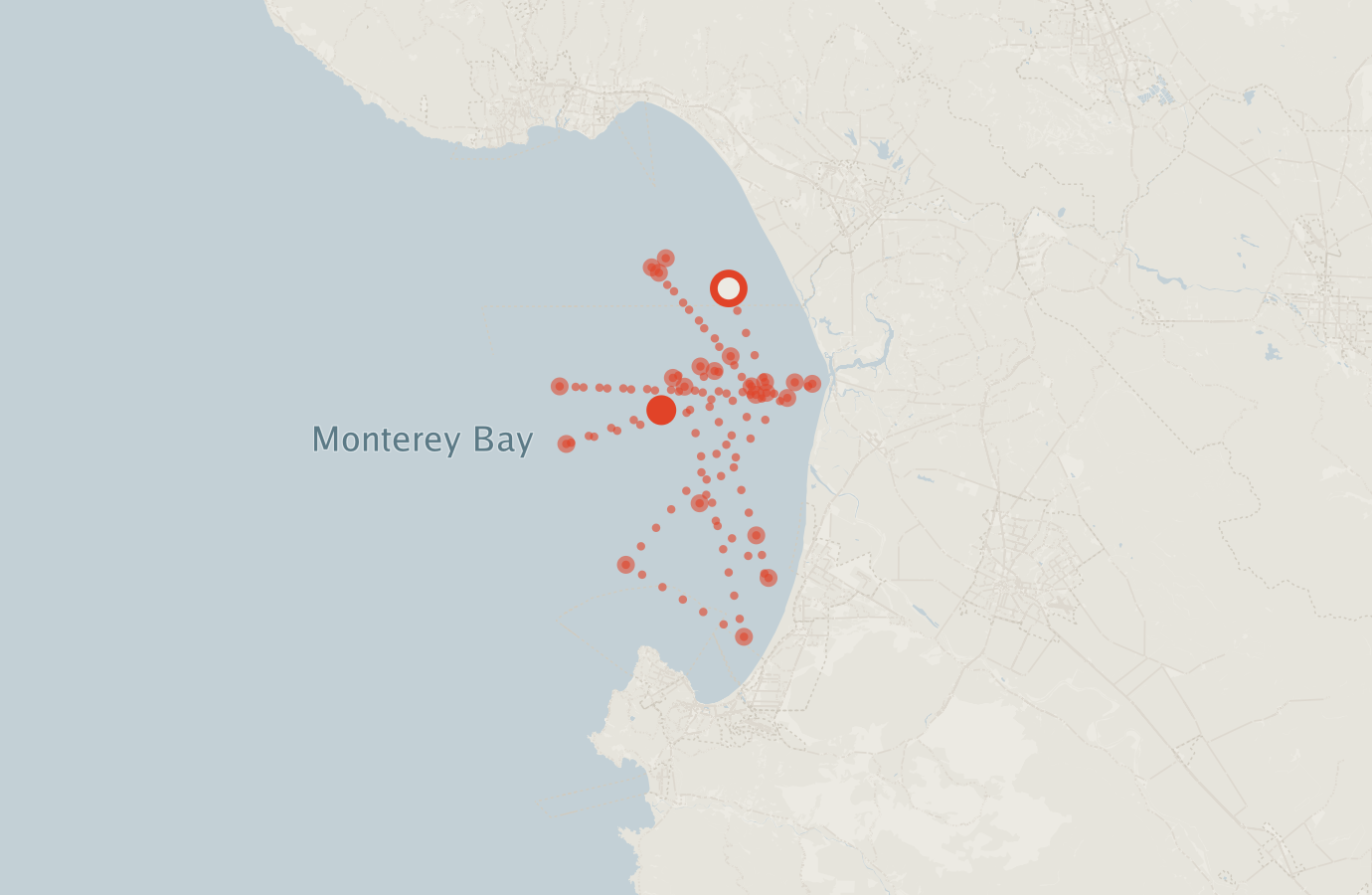 Activity map — real sighting points on an OpenStreetMap basemap