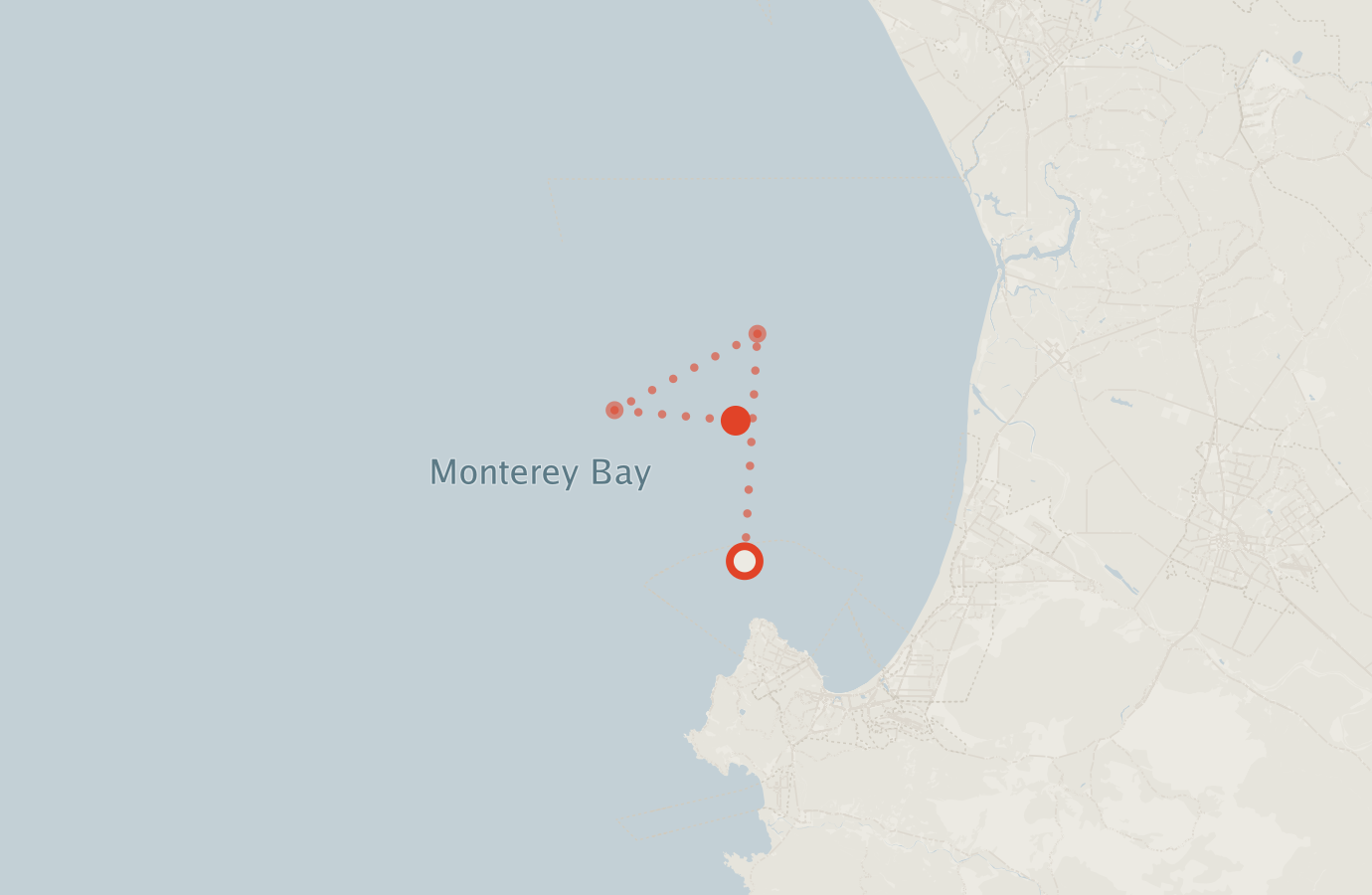 Activity map — real sighting points on an OpenStreetMap basemap