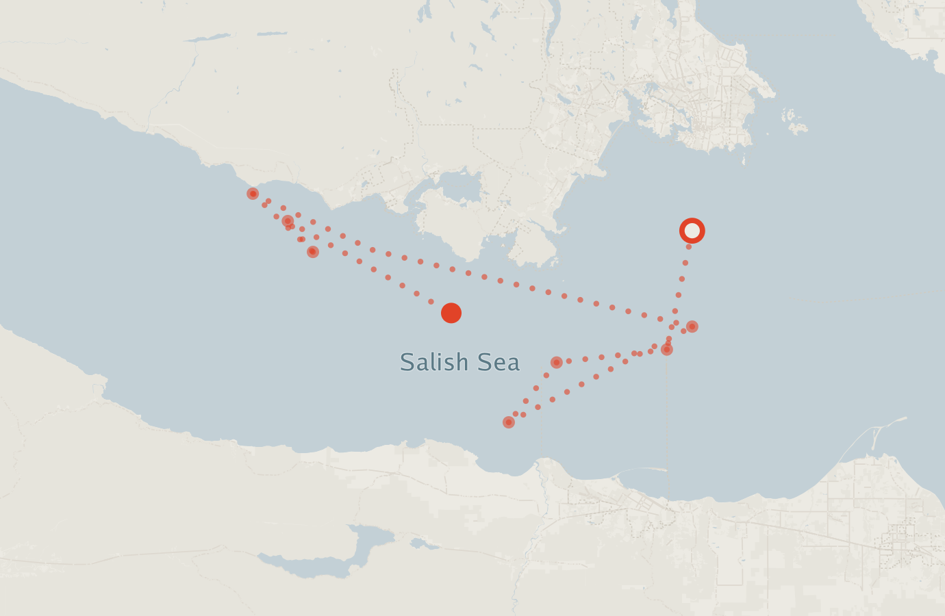 Activity map — real sighting points on an OpenStreetMap basemap