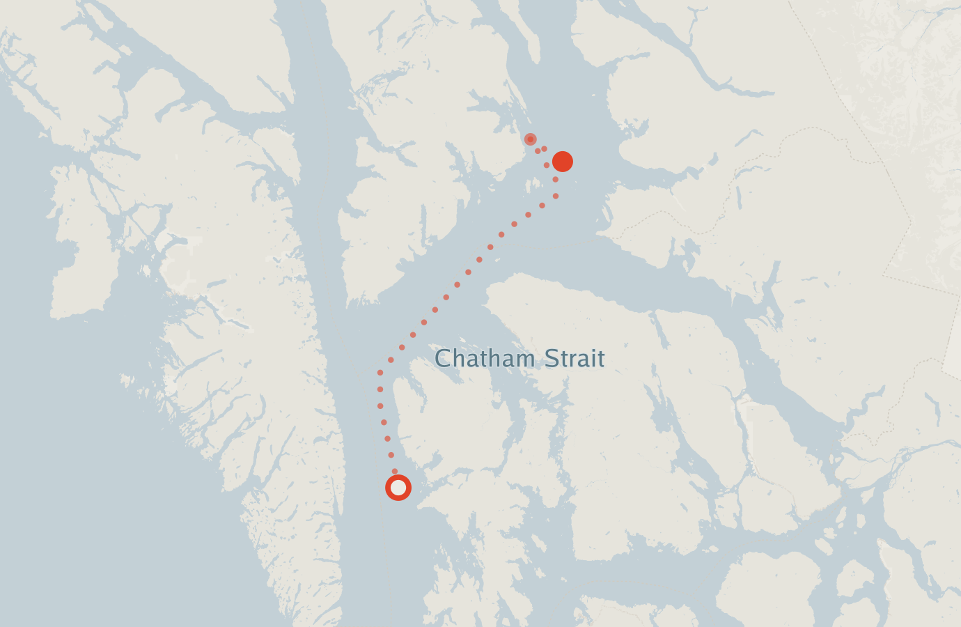 Activity map — real sighting points on an OpenStreetMap basemap