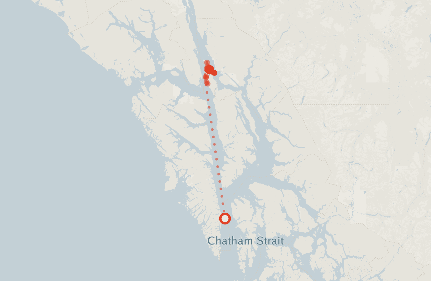Activity map — real sighting points on an OpenStreetMap basemap