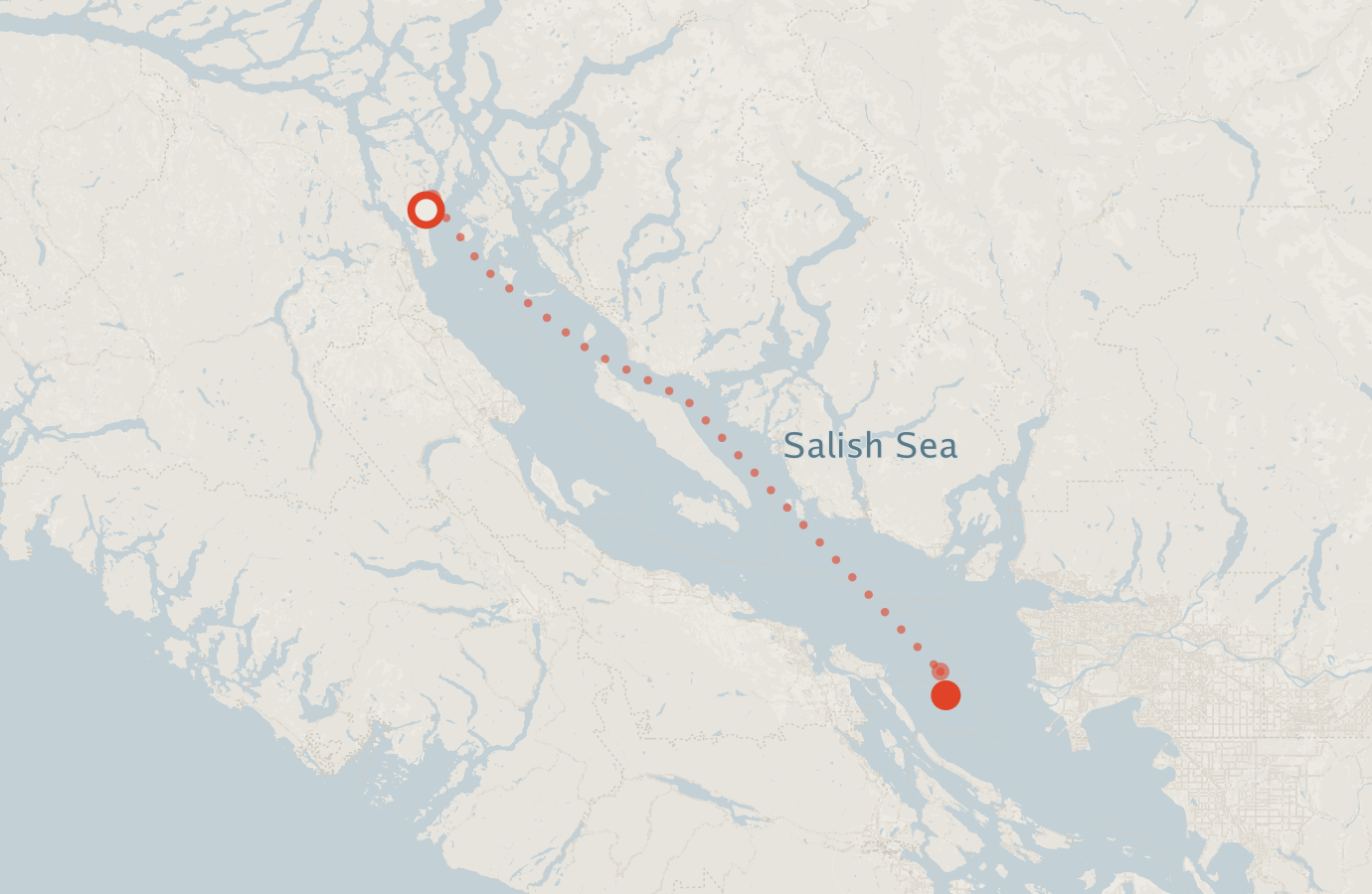 Activity map — real sighting points on an OpenStreetMap basemap