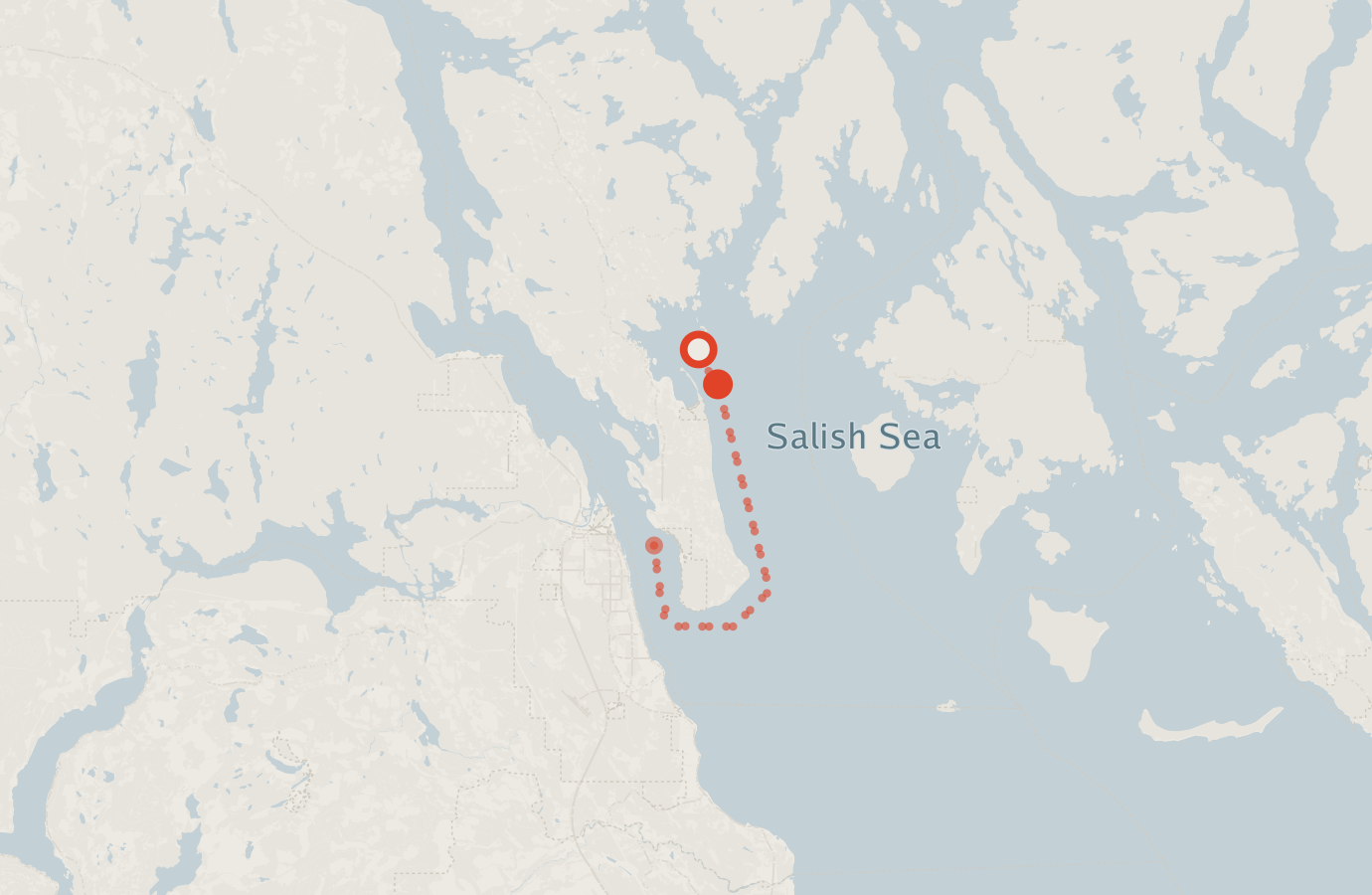 Activity map — real sighting points on an OpenStreetMap basemap