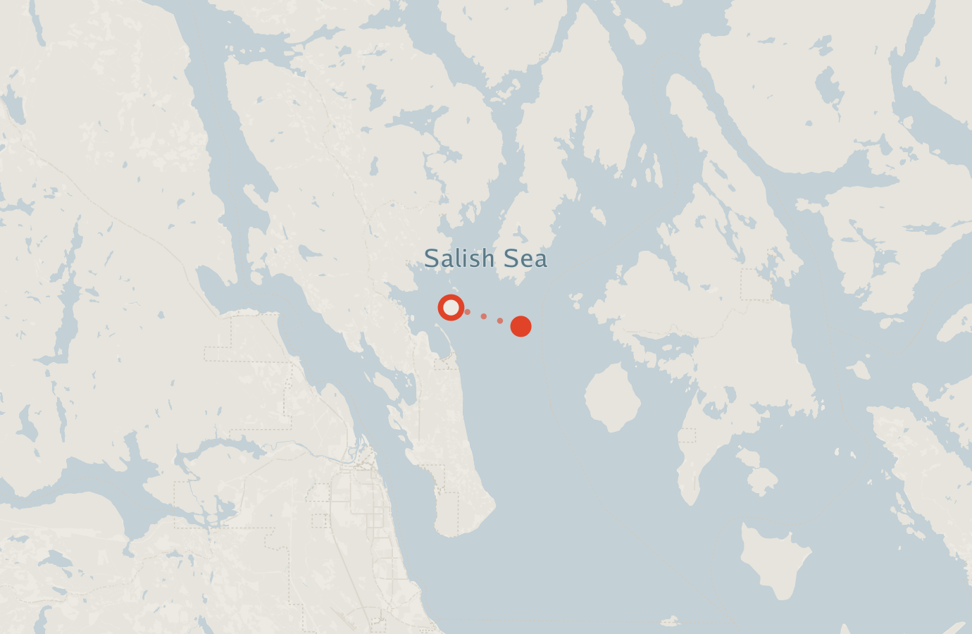 Activity map — real sighting points on an OpenStreetMap basemap