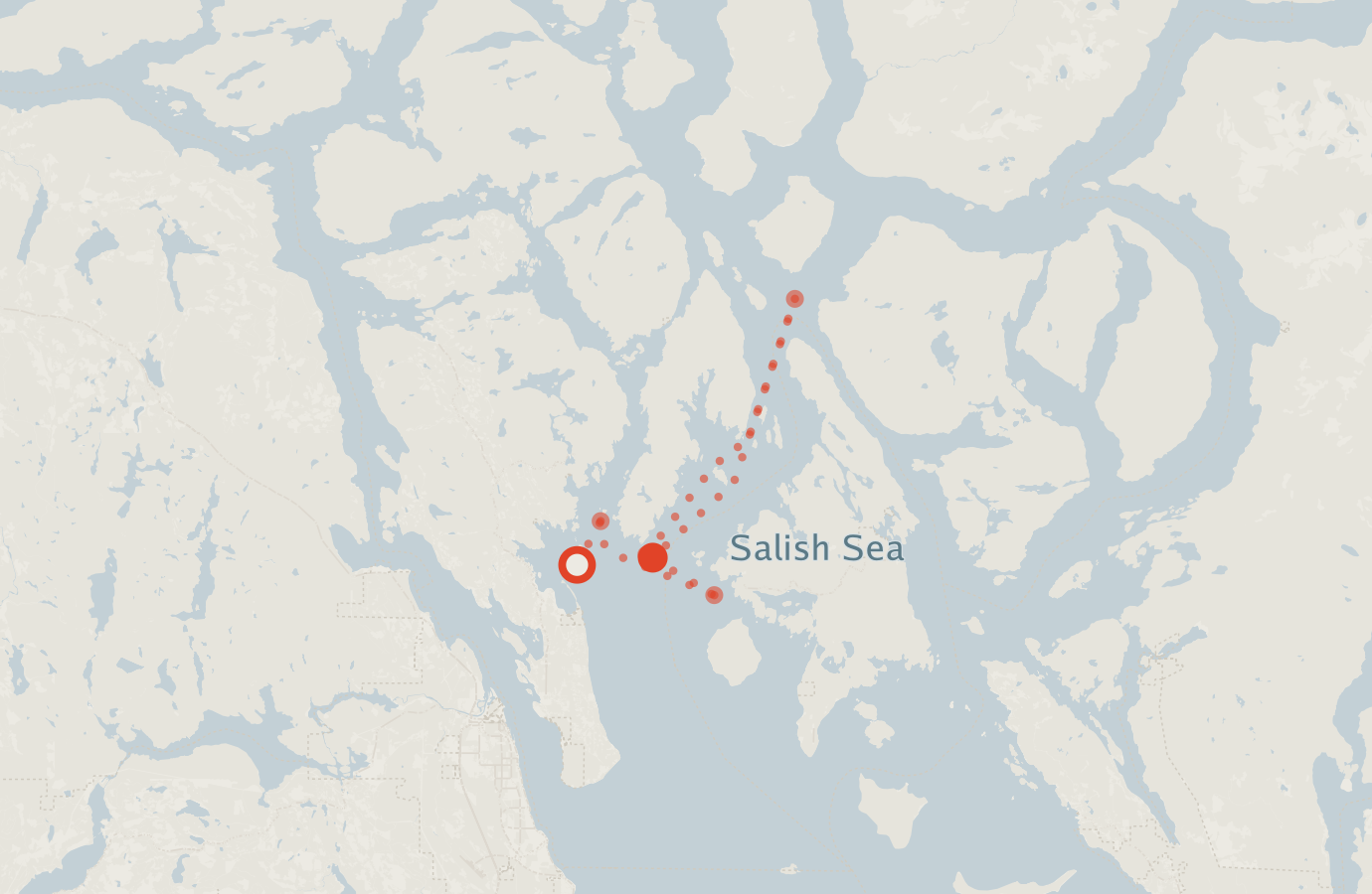 Activity map — real sighting points on an OpenStreetMap basemap