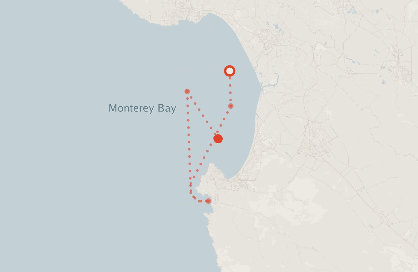 Activity map — real sighting points on an OpenStreetMap basemap