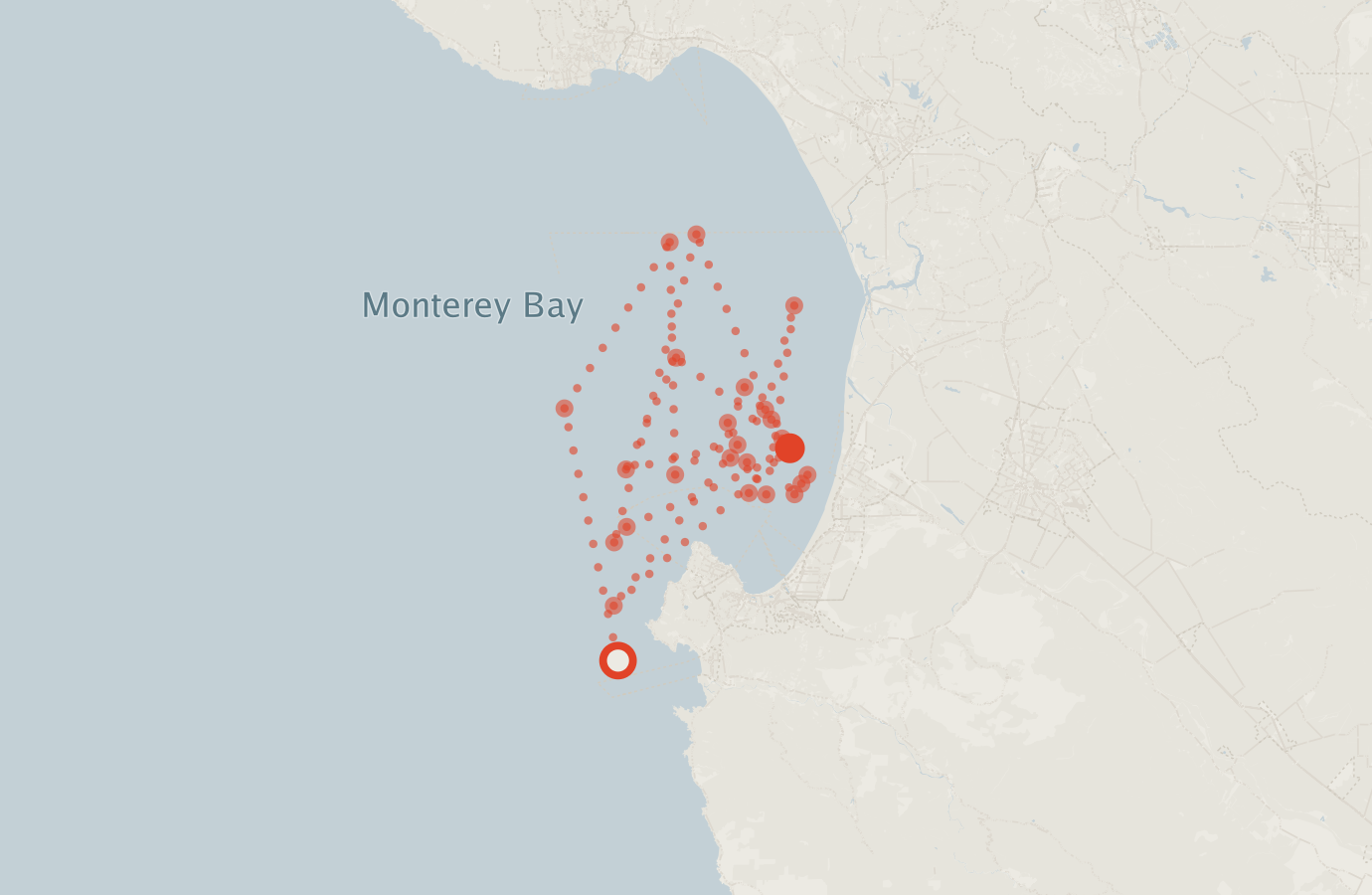 Activity map — real sighting points on an OpenStreetMap basemap