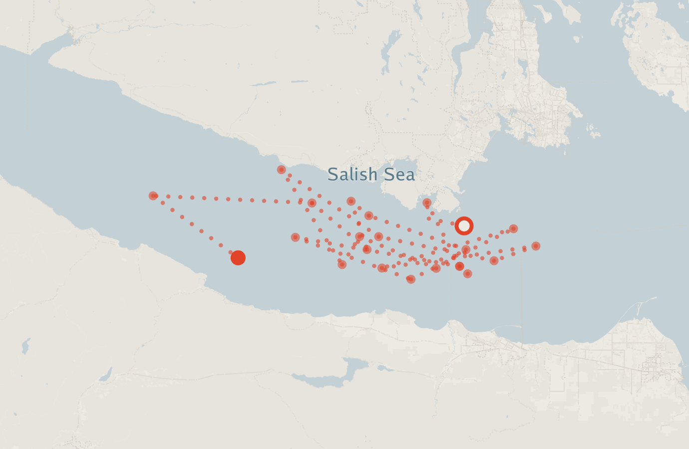Activity map — real sighting points on an OpenStreetMap basemap