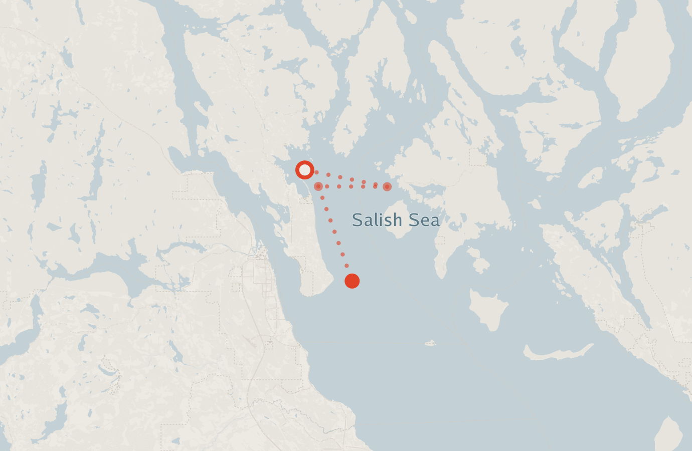 Activity map — real sighting points on an OpenStreetMap basemap