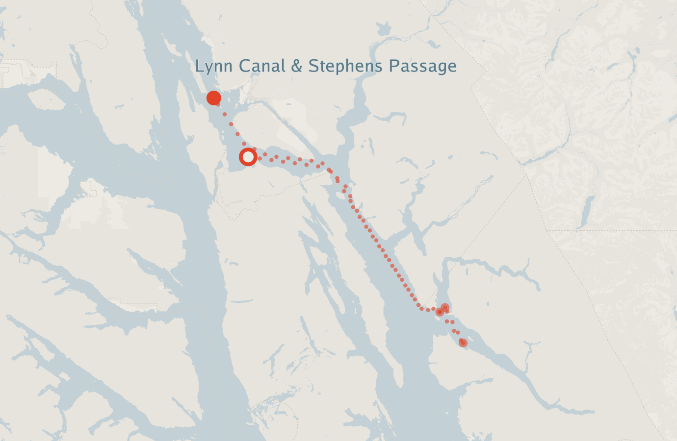 Activity map — real sighting points on an OpenStreetMap basemap