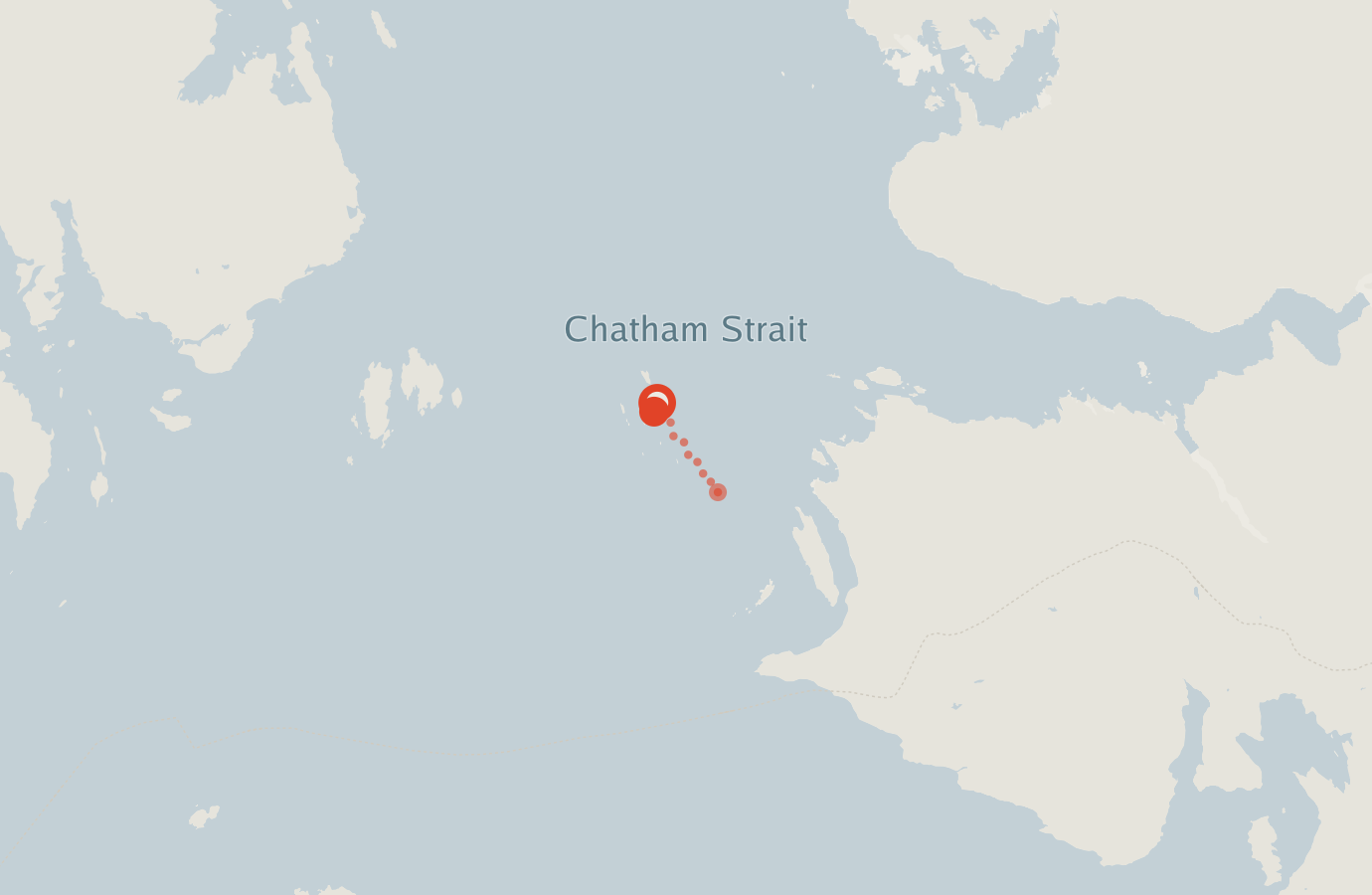 Activity map — real sighting points on an OpenStreetMap basemap