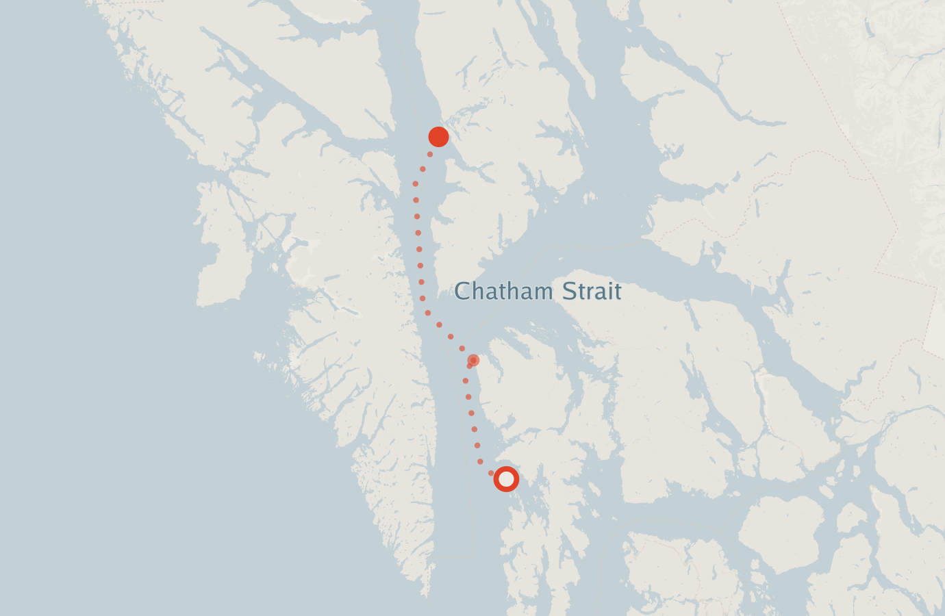 Activity map — real sighting points on an OpenStreetMap basemap