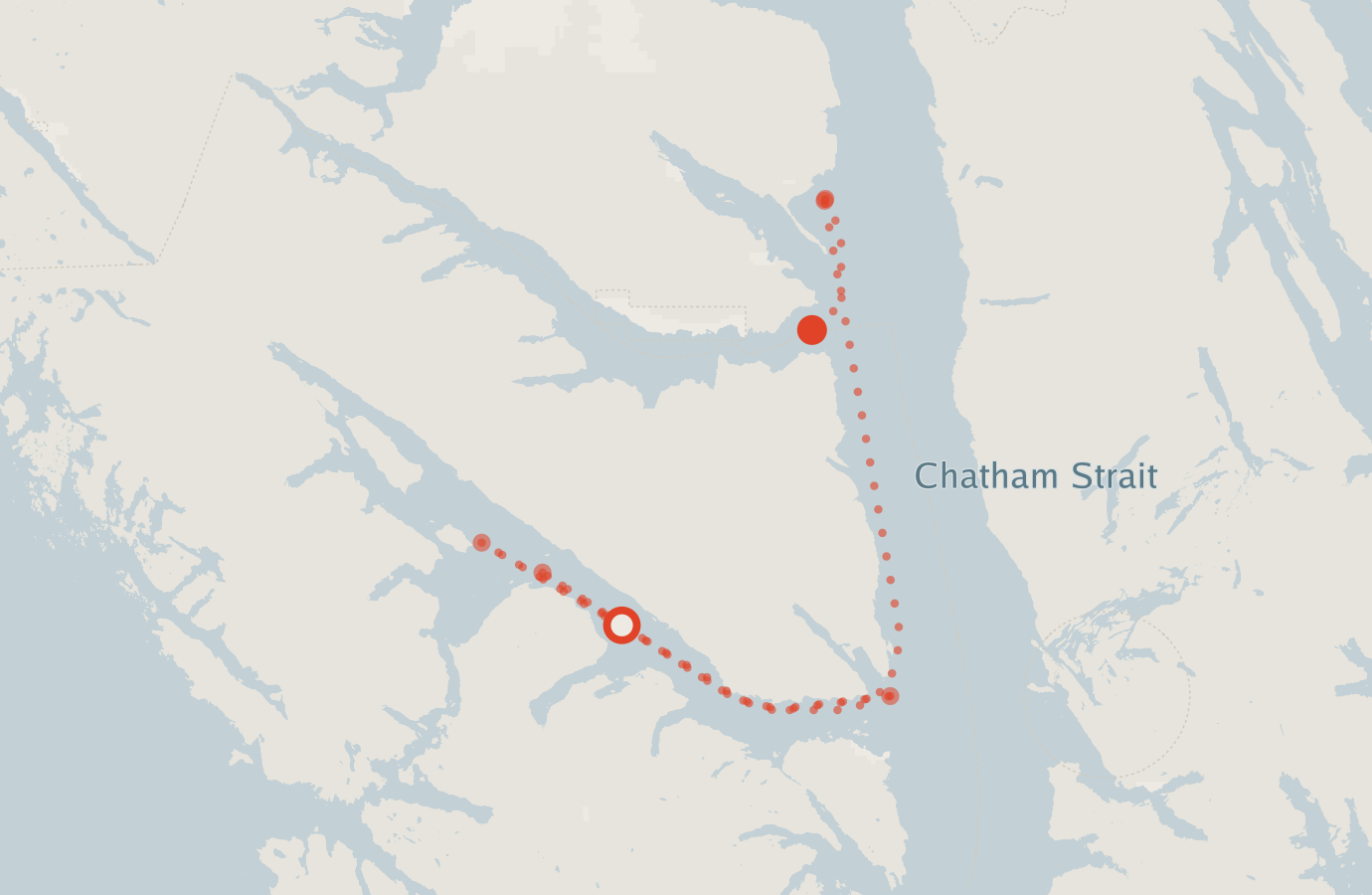 Activity map — real sighting points on an OpenStreetMap basemap