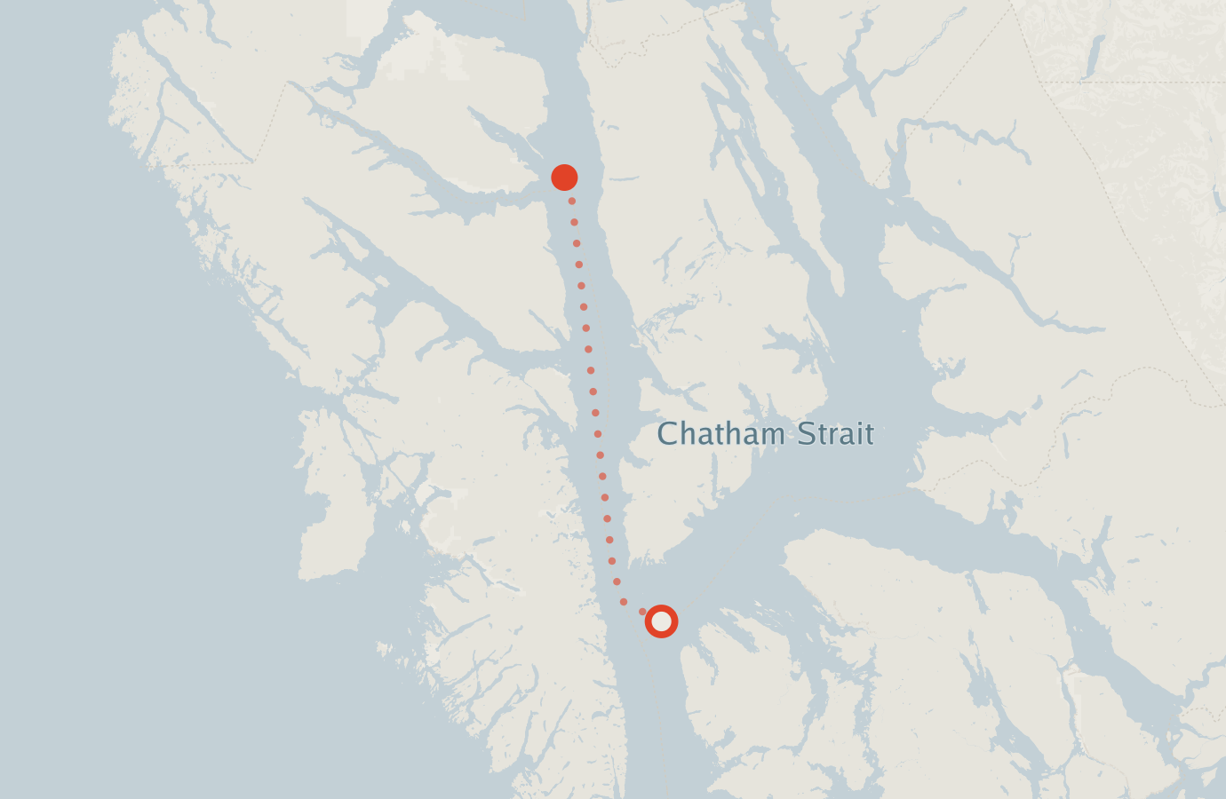 Activity map — real sighting points on an OpenStreetMap basemap
