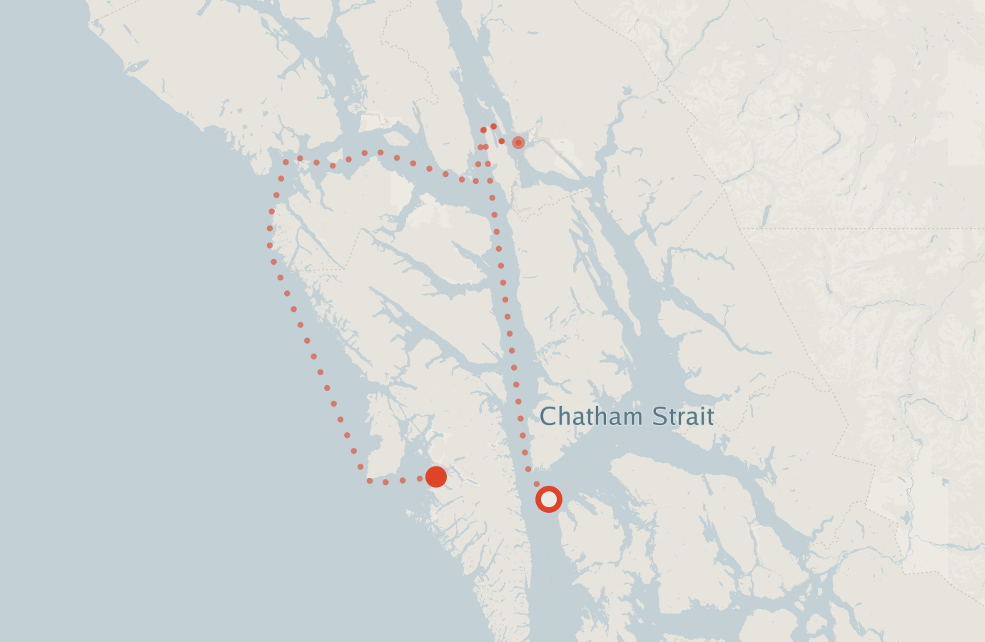Activity map — real sighting points on an OpenStreetMap basemap