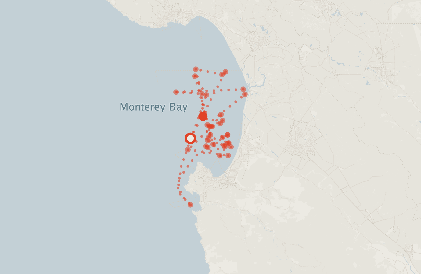 Activity map — real sighting points on an OpenStreetMap basemap
