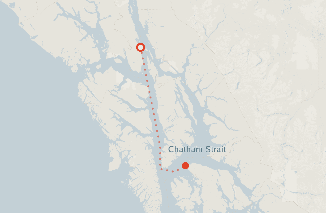 Activity map — real sighting points on an OpenStreetMap basemap