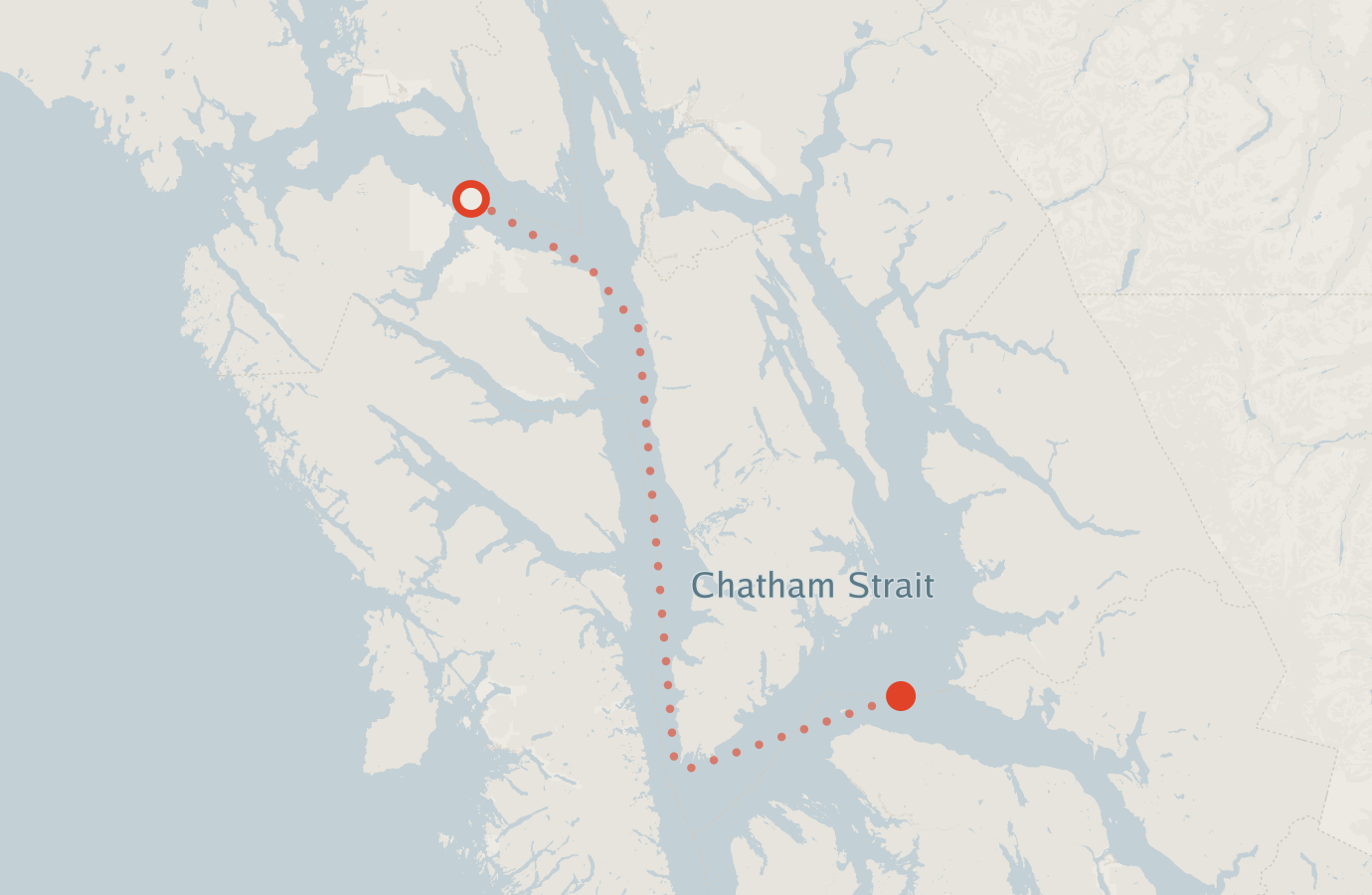 Activity map — real sighting points on an OpenStreetMap basemap