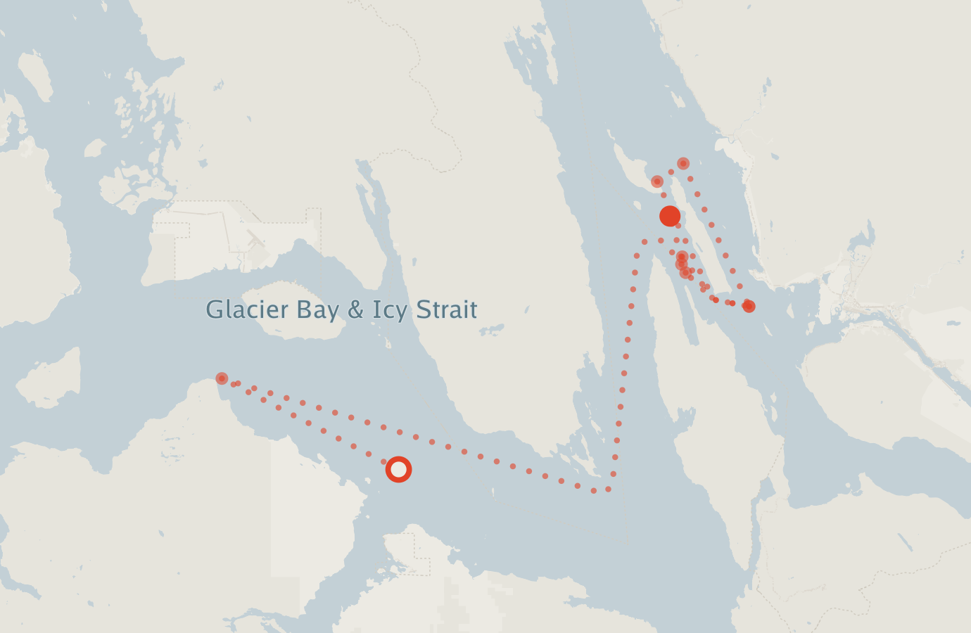 Activity map — real sighting points on an OpenStreetMap basemap