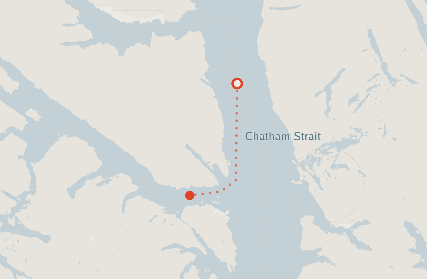 Activity map — real sighting points on an OpenStreetMap basemap