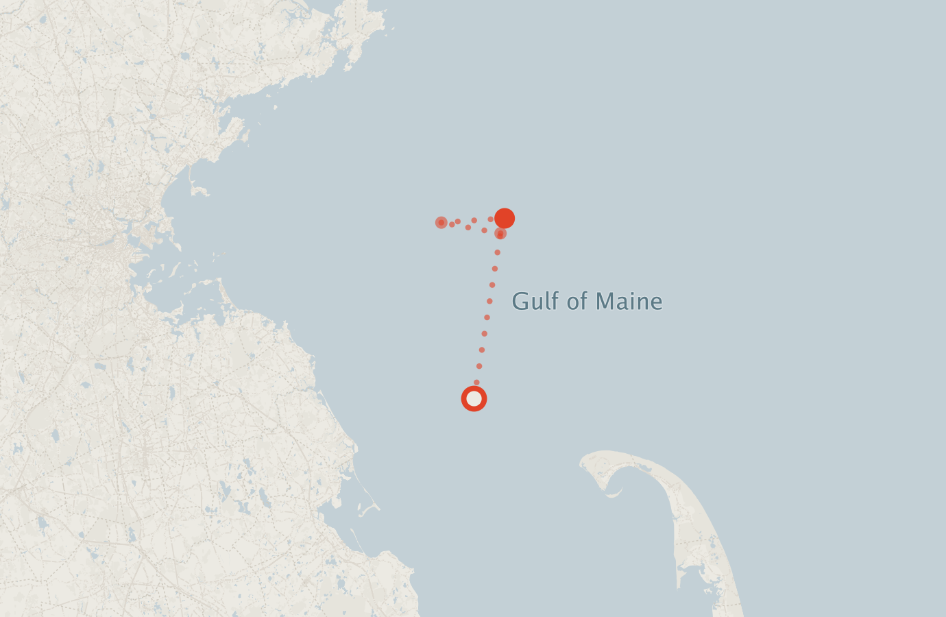 Activity map — real sighting points on an OpenStreetMap basemap