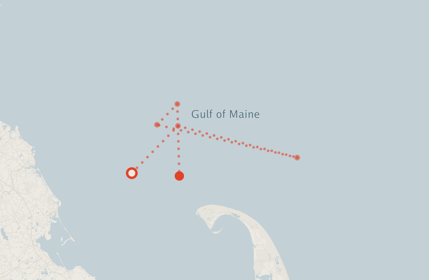 Activity map — real sighting points on an OpenStreetMap basemap