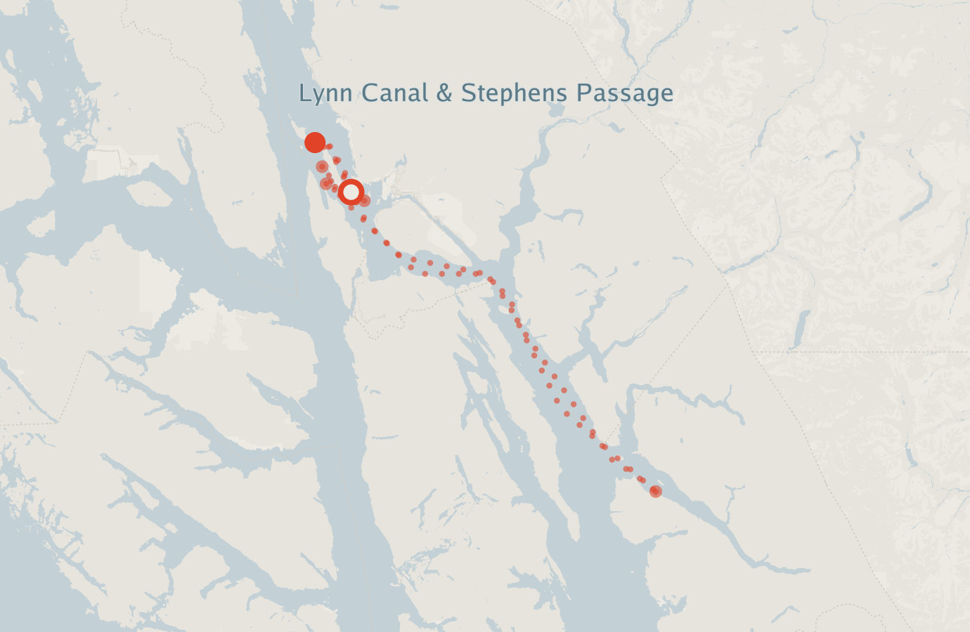 Activity map — real sighting points on an OpenStreetMap basemap