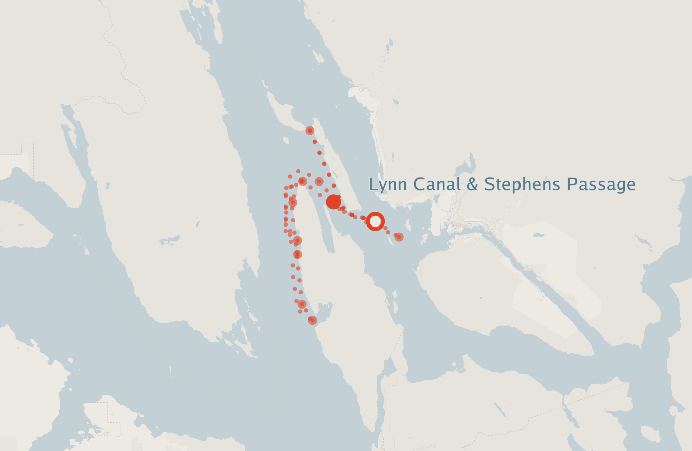 Activity map — real sighting points on an OpenStreetMap basemap