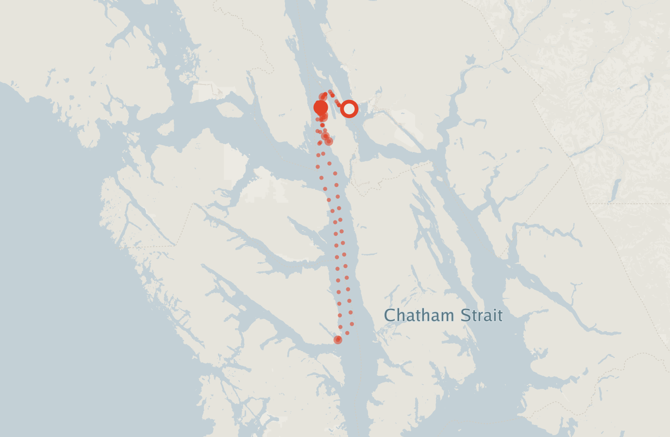 Activity map — real sighting points on an OpenStreetMap basemap