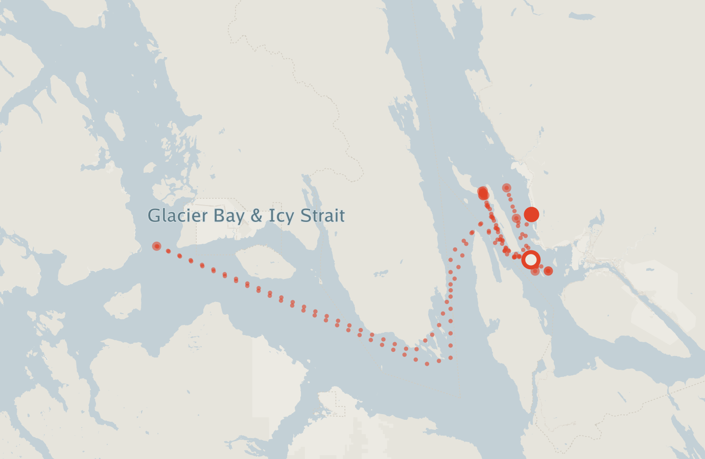 Activity map — real sighting points on an OpenStreetMap basemap