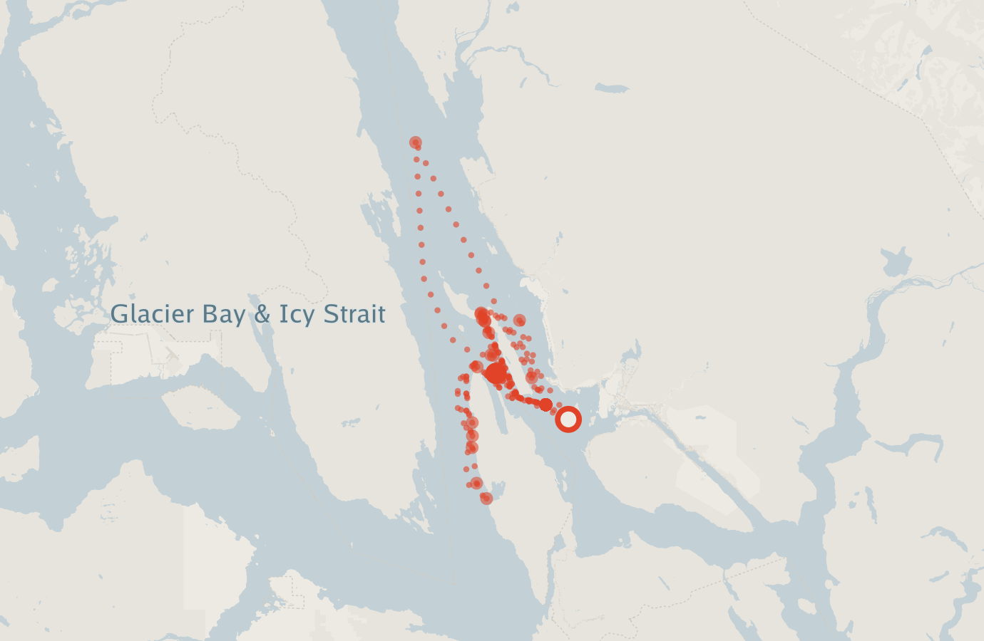 Activity map — real sighting points on an OpenStreetMap basemap