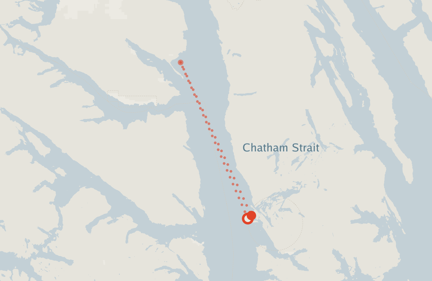 Activity map — real sighting points on an OpenStreetMap basemap