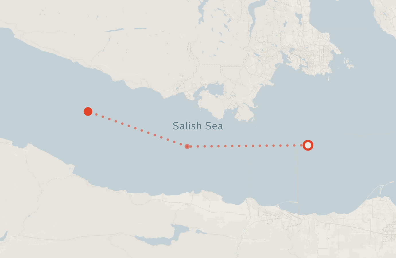 Activity map — real sighting points on an OpenStreetMap basemap