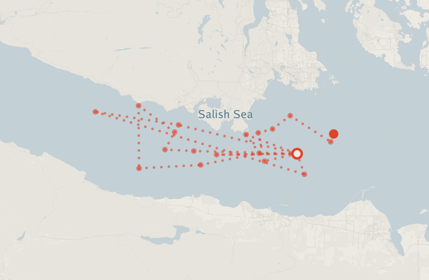 Activity map — real sighting points on an OpenStreetMap basemap