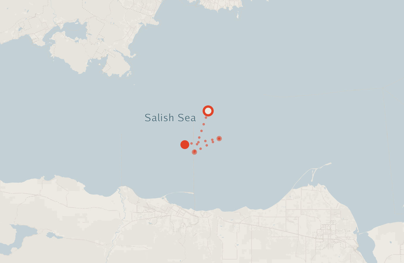 Activity map — real sighting points on an OpenStreetMap basemap