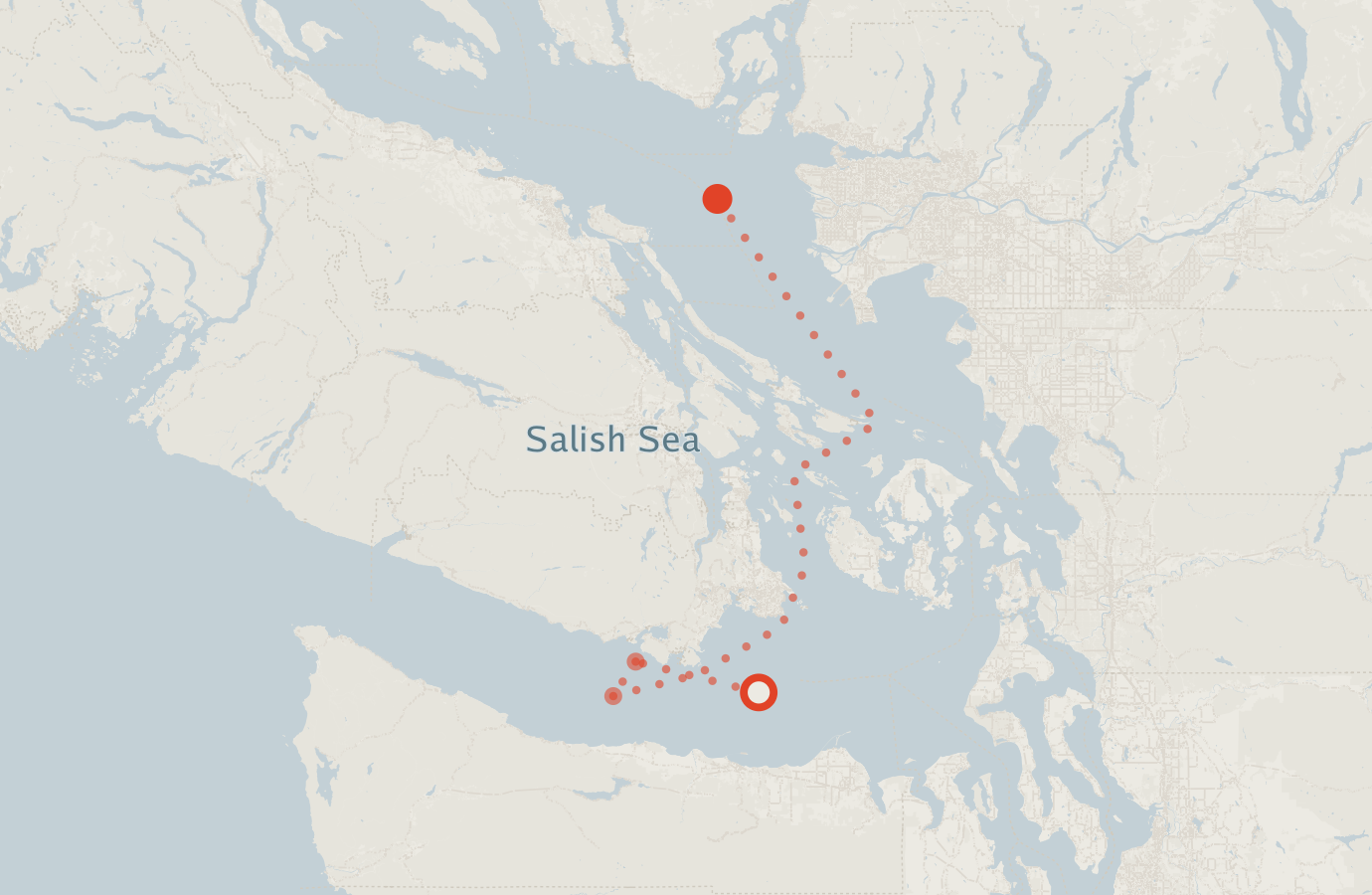 Activity map — real sighting points on an OpenStreetMap basemap