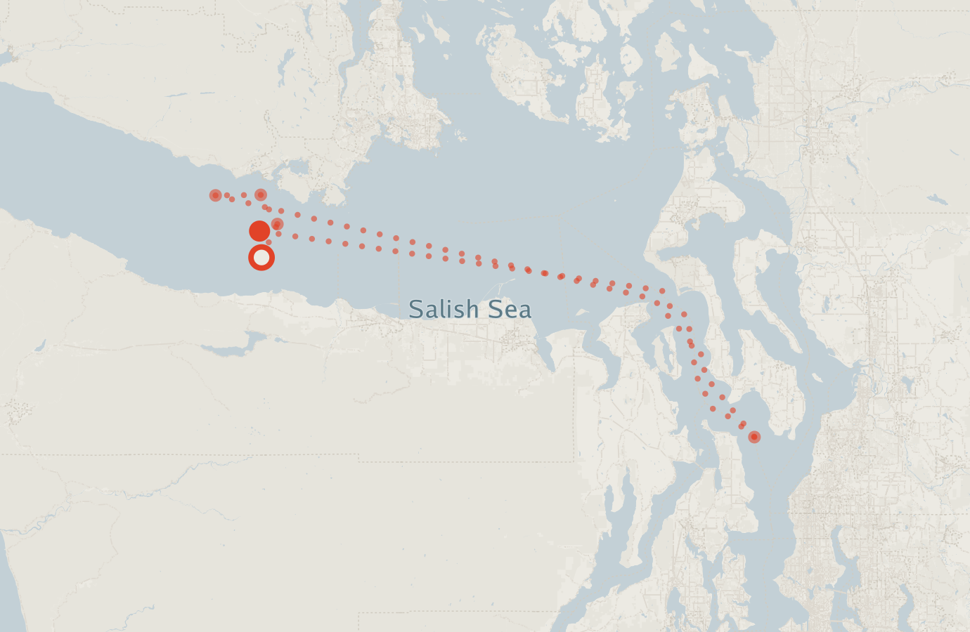 Activity map — real sighting points on an OpenStreetMap basemap
