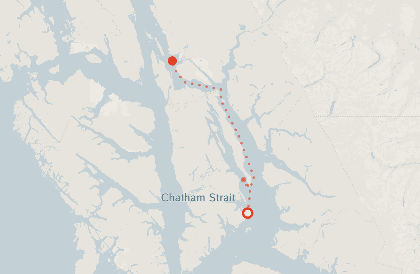 Activity map — real sighting points on an OpenStreetMap basemap