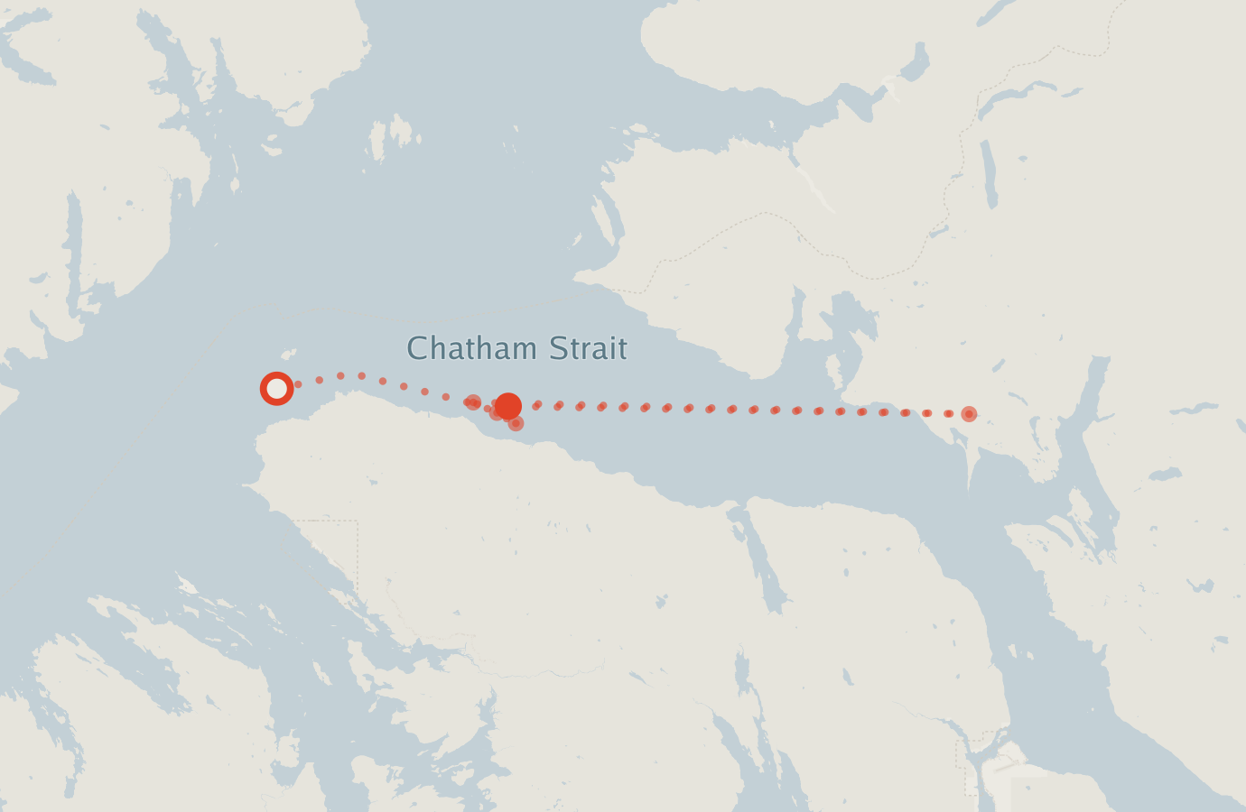 Activity map — real sighting points on an OpenStreetMap basemap