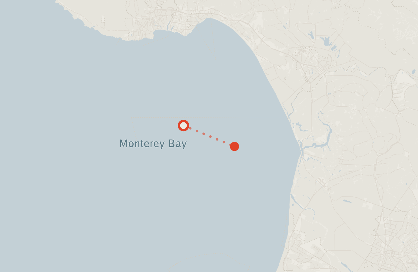 Activity map — real sighting points on an OpenStreetMap basemap