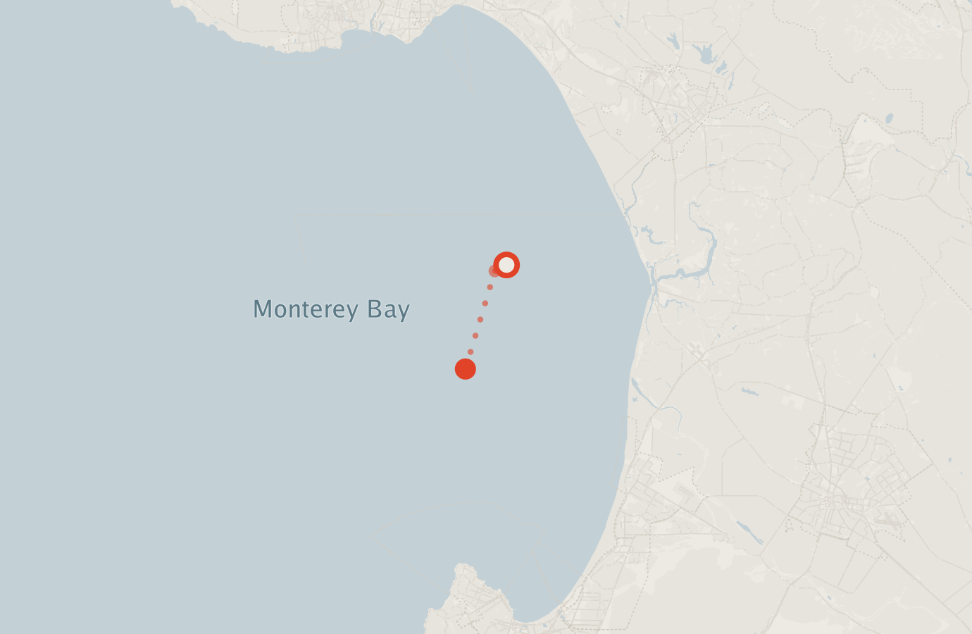 Activity map — real sighting points on an OpenStreetMap basemap