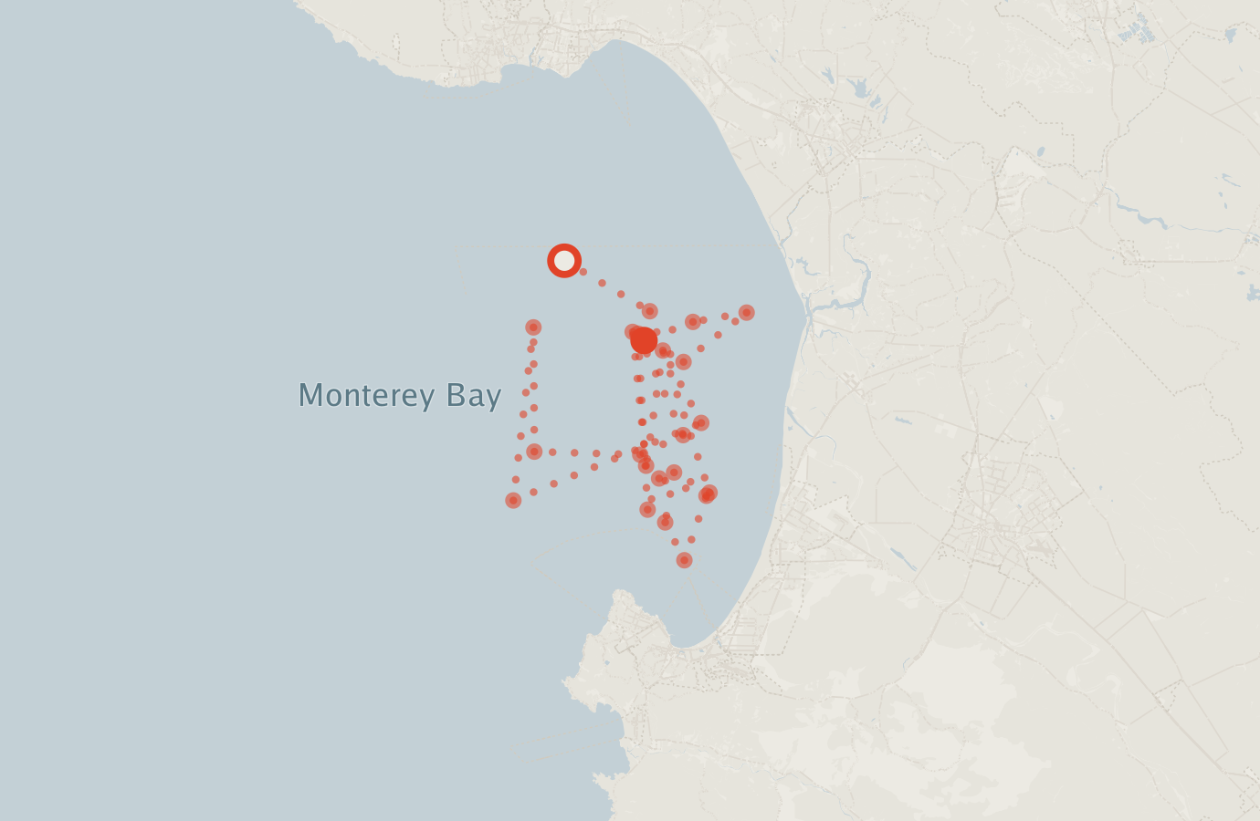Activity map — real sighting points on an OpenStreetMap basemap