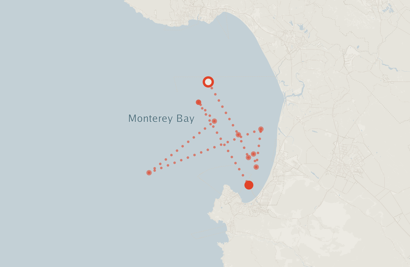 Activity map — real sighting points on an OpenStreetMap basemap