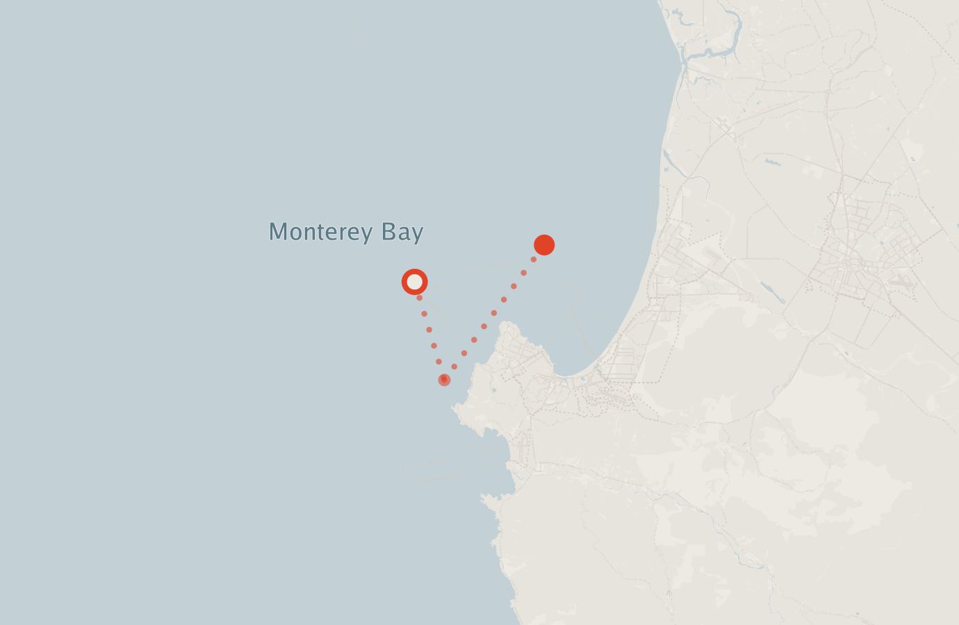 Activity map — real sighting points on an OpenStreetMap basemap