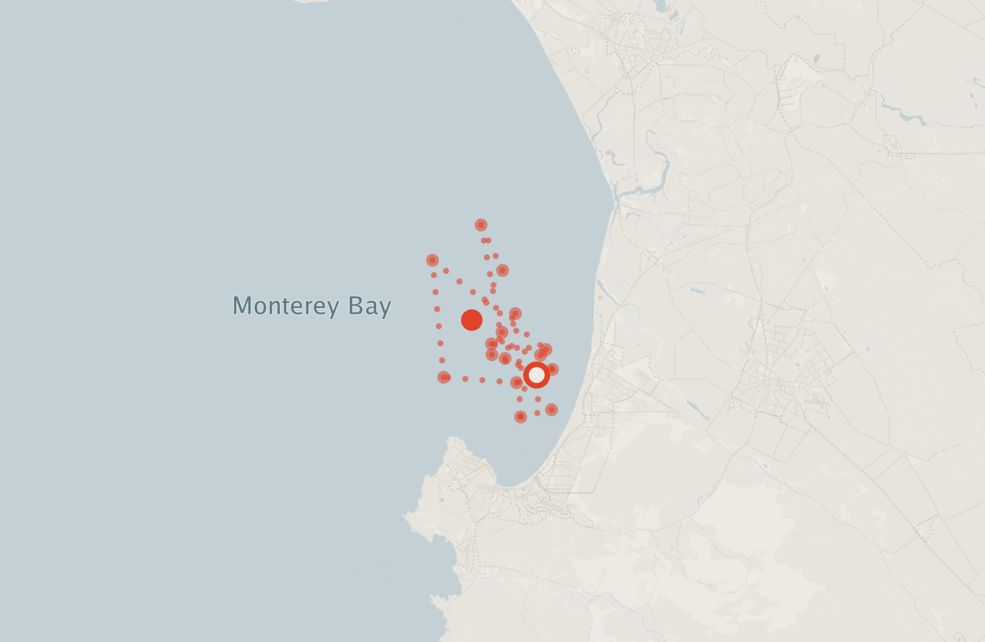 Activity map — real sighting points on an OpenStreetMap basemap
