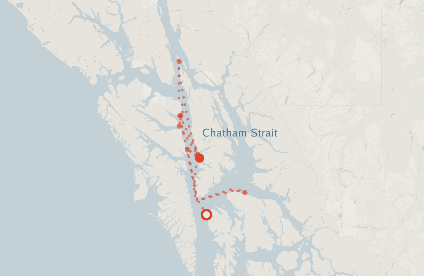 Activity map — real sighting points on an OpenStreetMap basemap