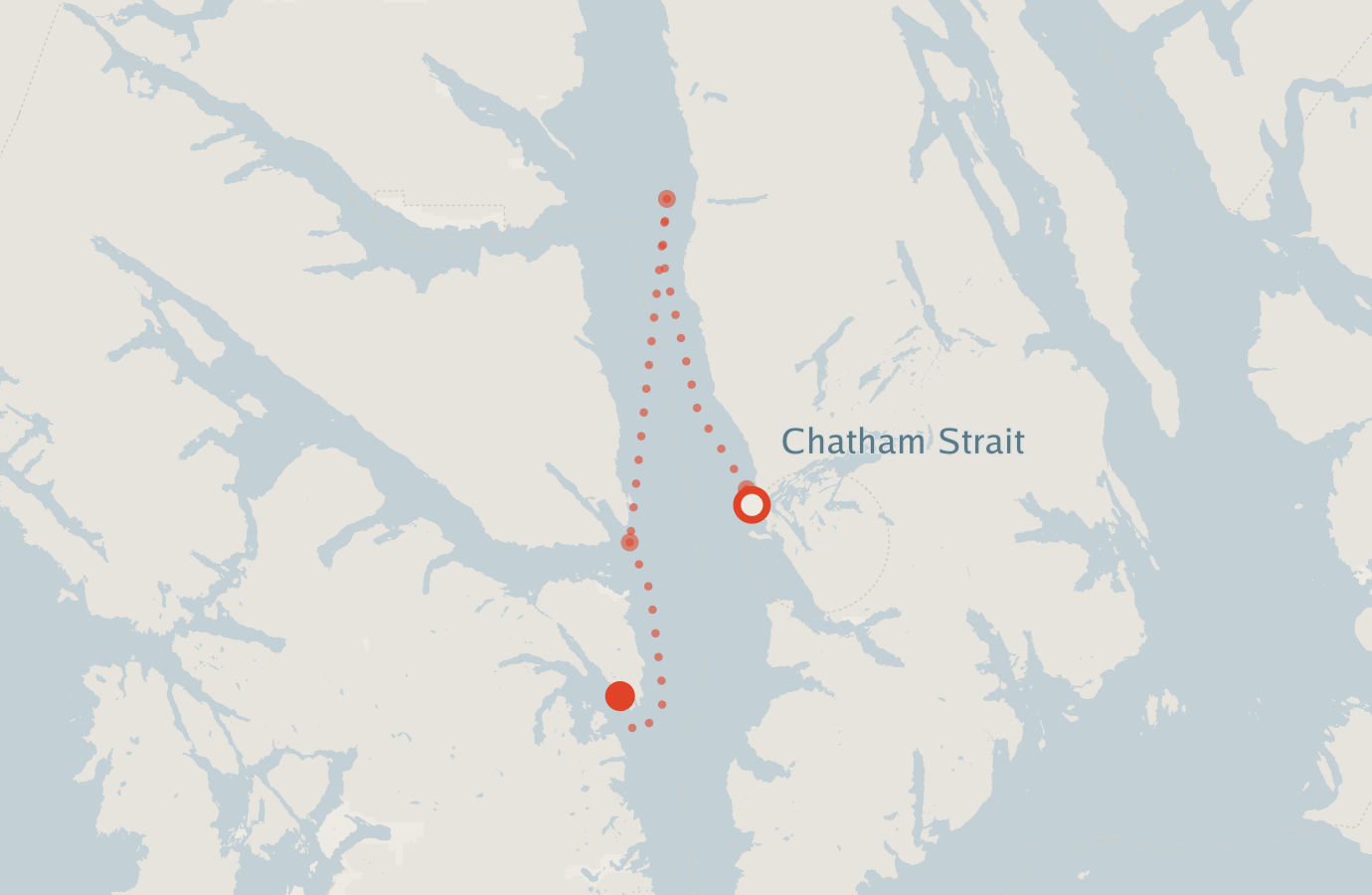 Activity map — real sighting points on an OpenStreetMap basemap